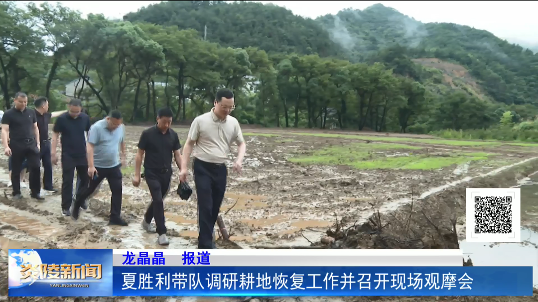夏胜利带队调研耕地恢复工作并召开现场观摩会