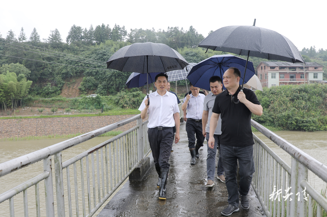 图文丨尹朝晖到霞阳镇、鹿原镇督导防汛抗旱工作