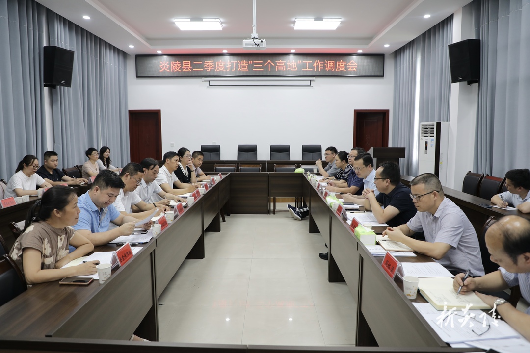 图文丨炎陵县召开二季度打造“三个高地”、建设“三基地”工作调度会