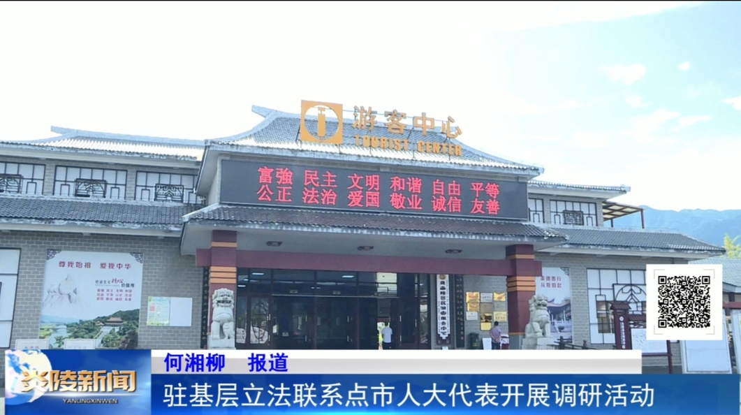 驻基层立法联系点市人大代表开展调研活动