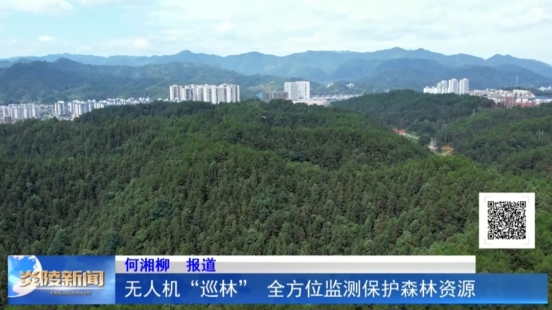 无人机“巡林” 全方位监测保护森林资源