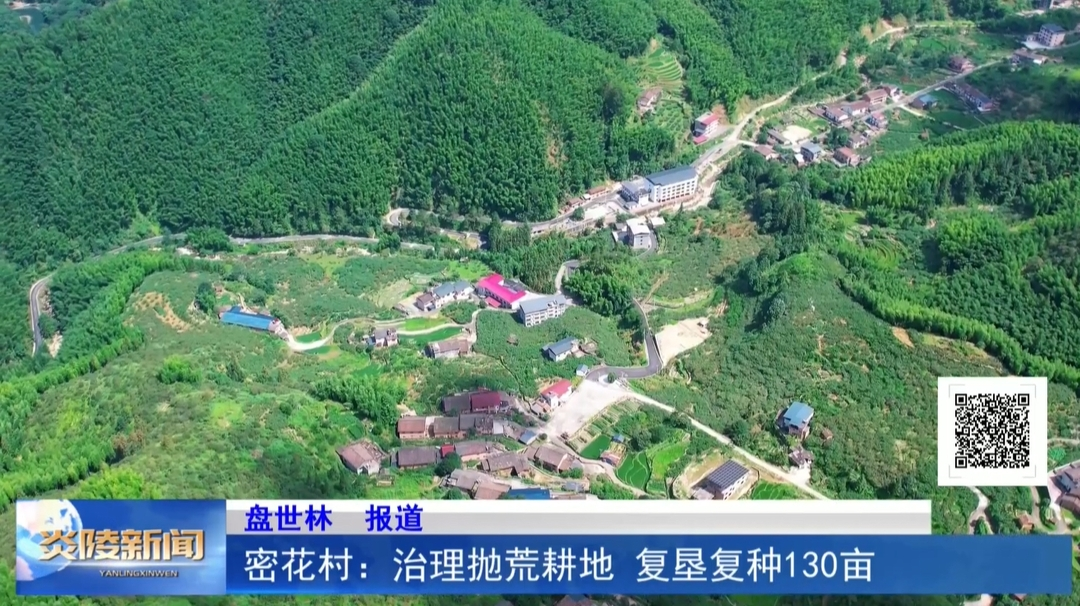 密花村：治理抛荒耕地 复垦复种130亩