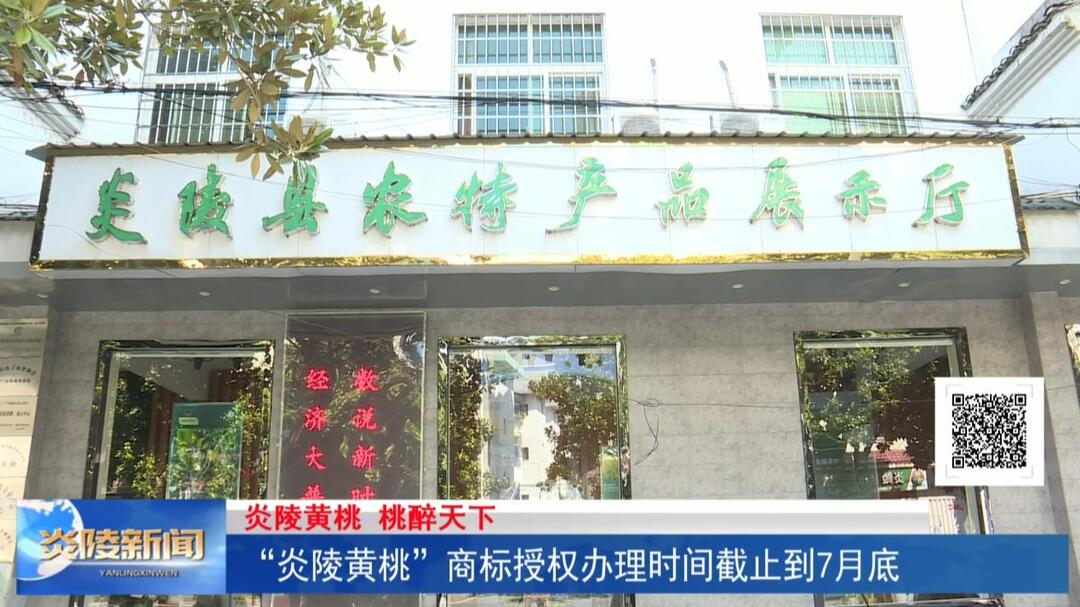 “炎陵黄桃”商标授权办理时间截止到7月底