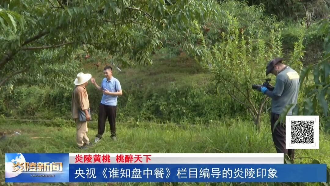 央视《谁知盘中餐》栏目编导的炎陵印象
