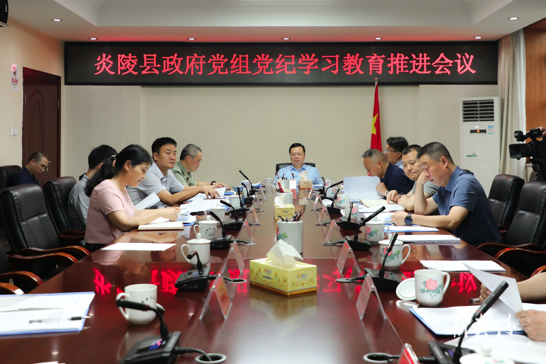图文丨夏胜利主持召开县政府党组党纪学习教育推进会议
