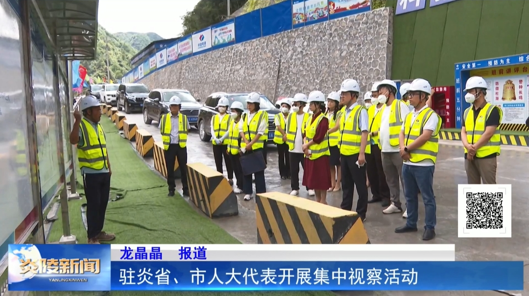 驻炎省、市人大代表开展集中视察活动