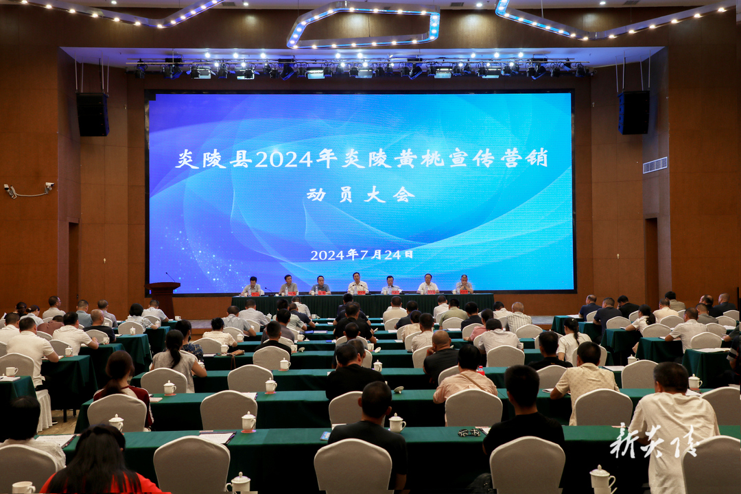 图文丨炎陵县2024年炎陵黄桃宣传营销动员大会召开