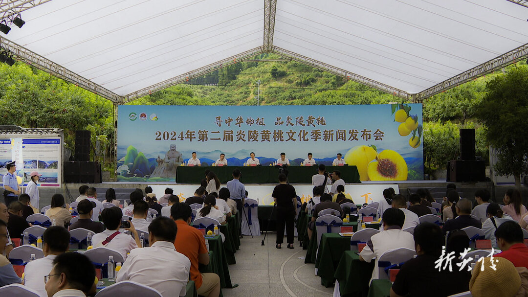 图文丨第二届炎陵黄桃文化季新闻发布会召开