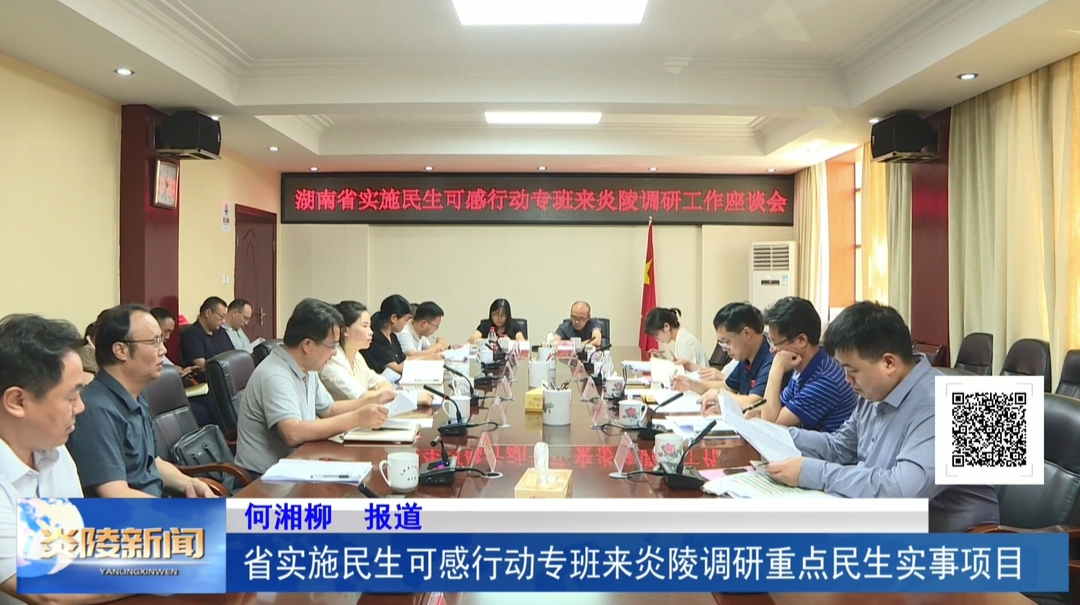 省实施民生可感行动专班来炎陵调研重点民生实事项目