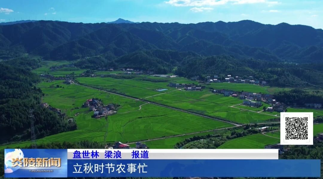 立秋时节农事忙