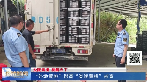 “外地黄桃”假冒“炎陵黄桃”被查