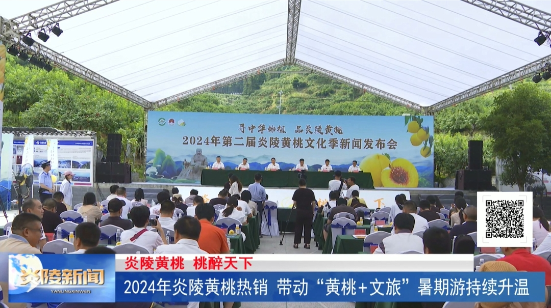 ?2024年炎陵黃桃熱銷 帶動(dòng)“黃桃+文旅”暑期游持續(xù)升溫