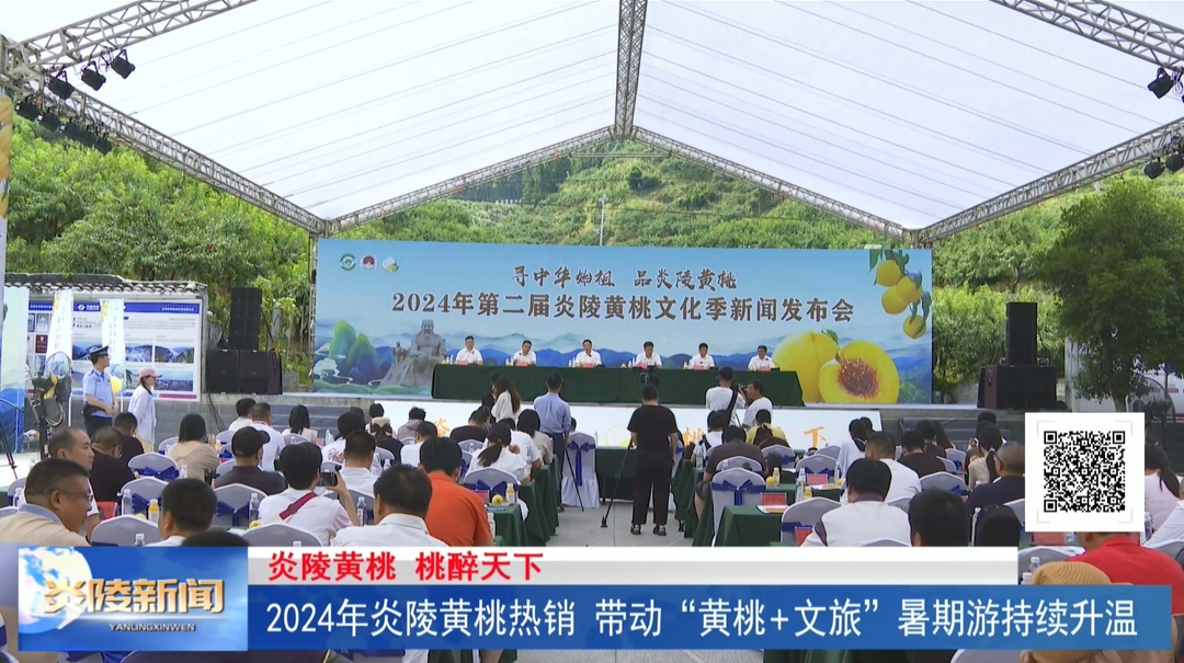 ​2024年炎陵黄桃热销 带动“黄桃+文旅”暑期游持续升温