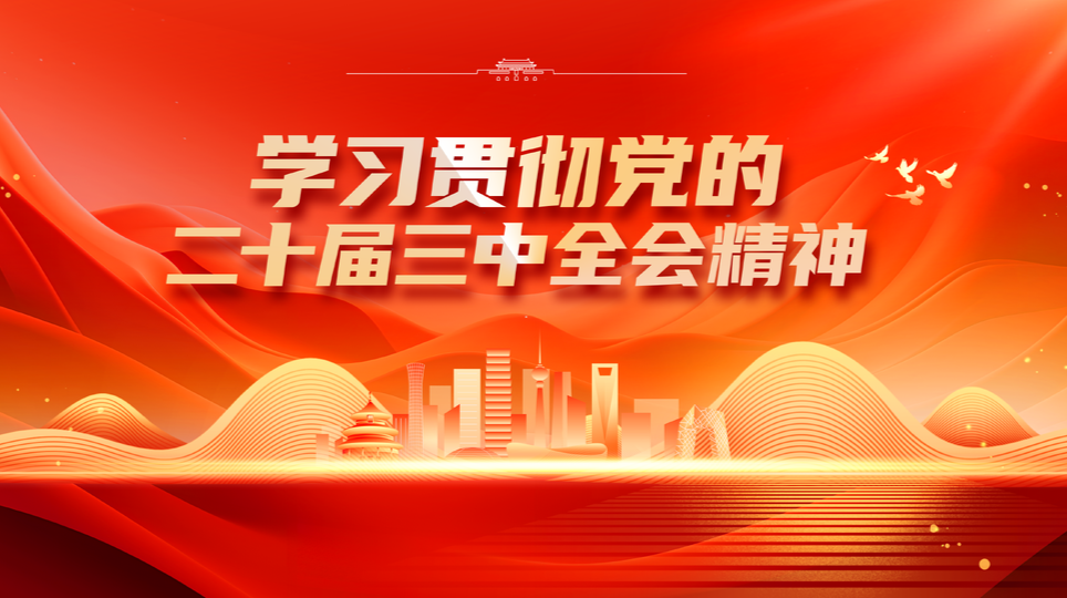 学习贯彻党的二十届三中全会精神