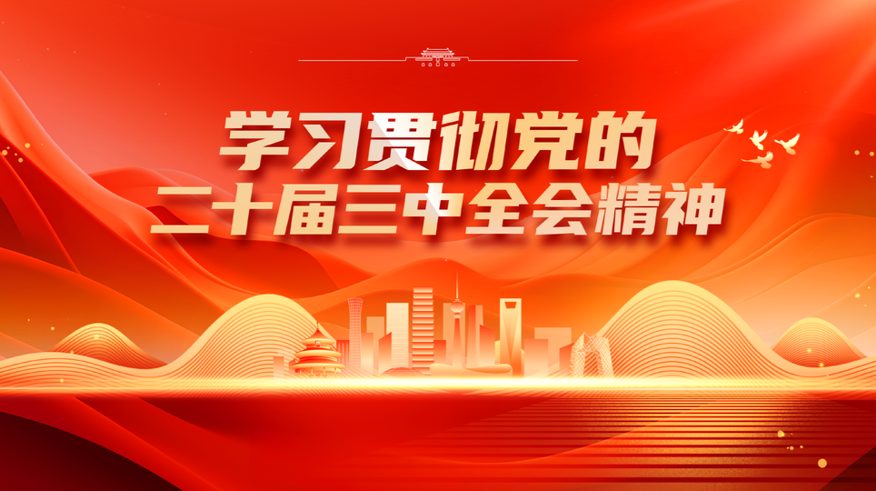 学习贯彻党的二十届三中全会精神