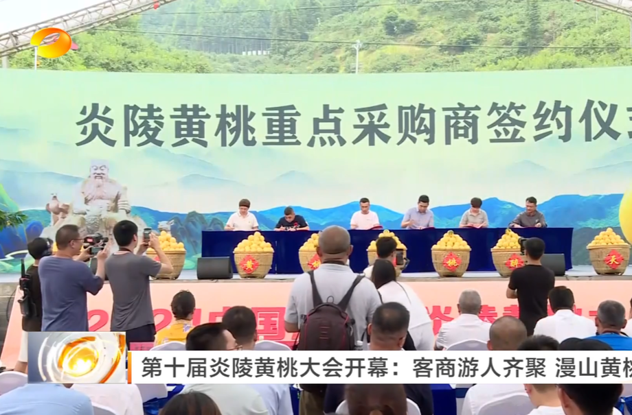 第十届炎陵黄桃大会开幕：客商游人齐聚 漫山黄桃飘香