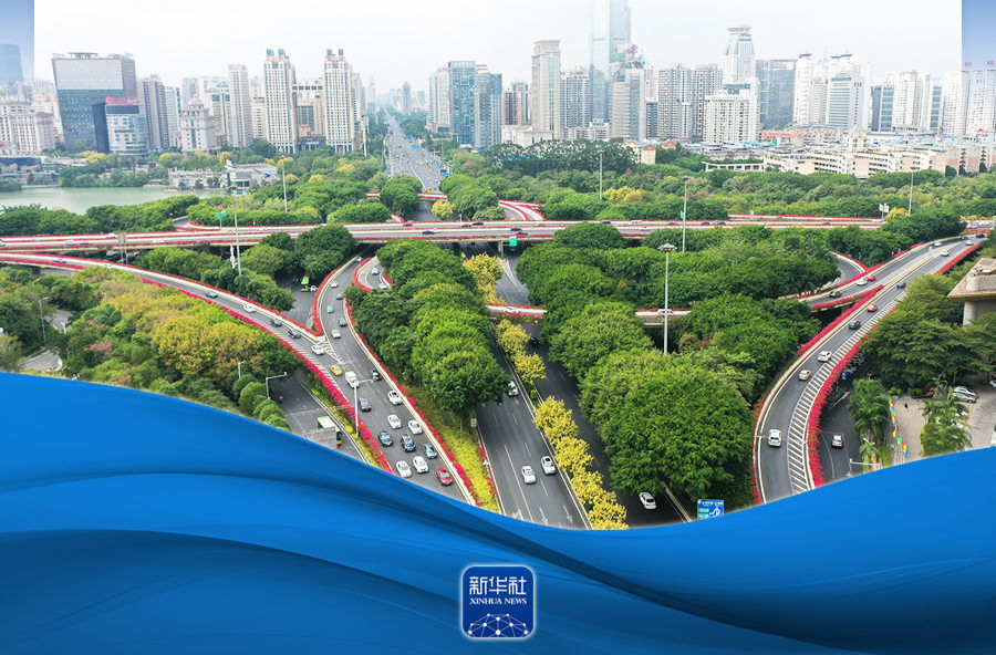 学习新语｜领悟“六个坚持”：系统观念