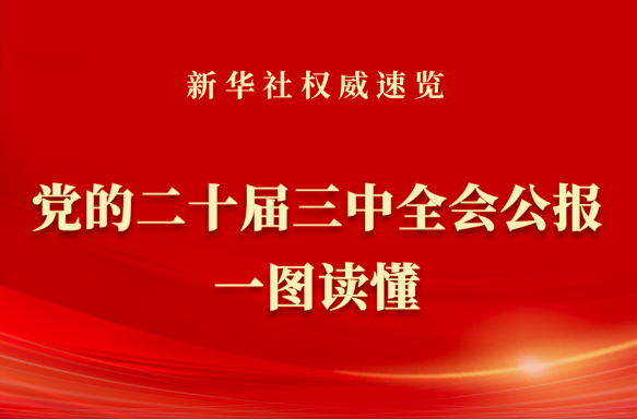 党的二十届三中全会公报一图读懂