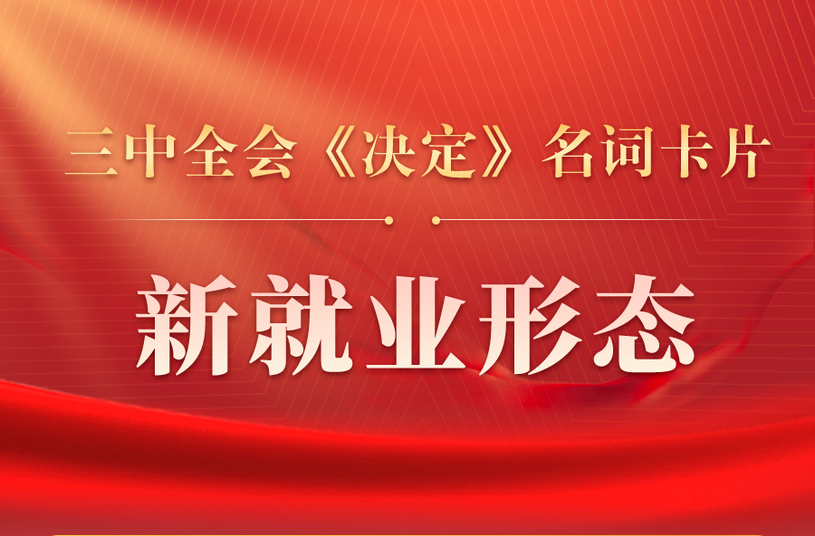 三中全会《决定》名词卡片天天学：新就业形态