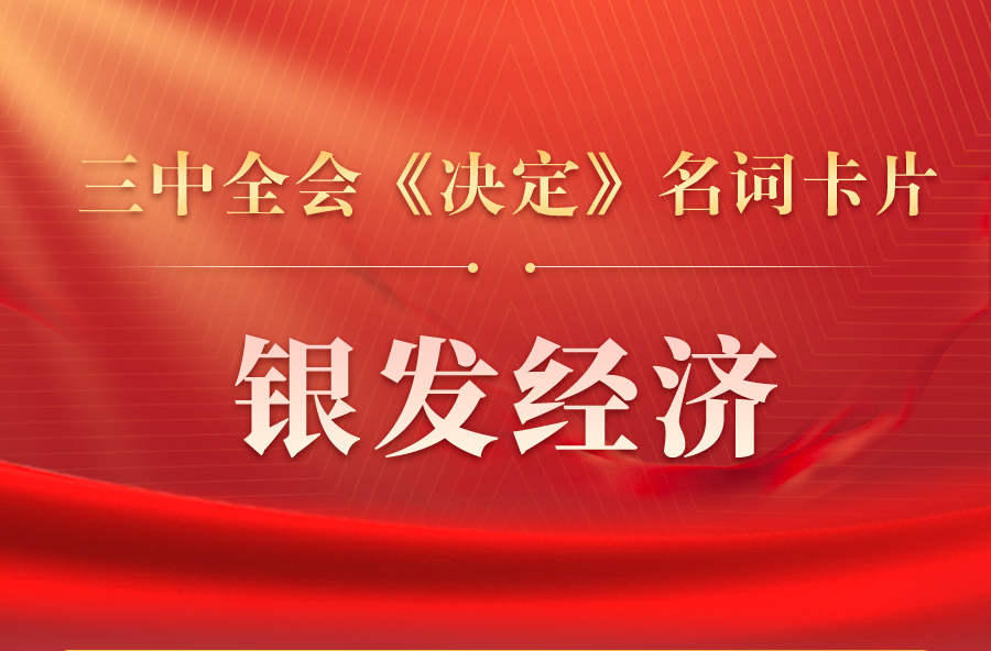 三中全会《决定》名词卡片天天学：银发经济