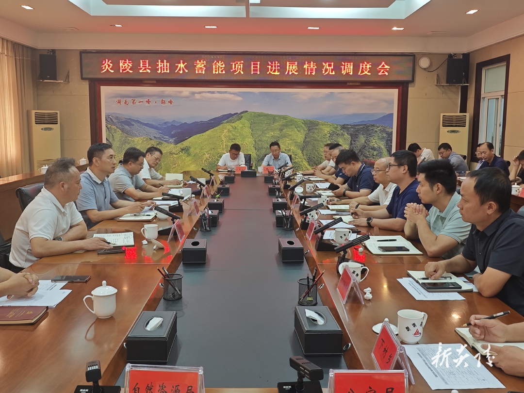 图文丨炎陵县抽水蓄能项目进展情况调度会召开