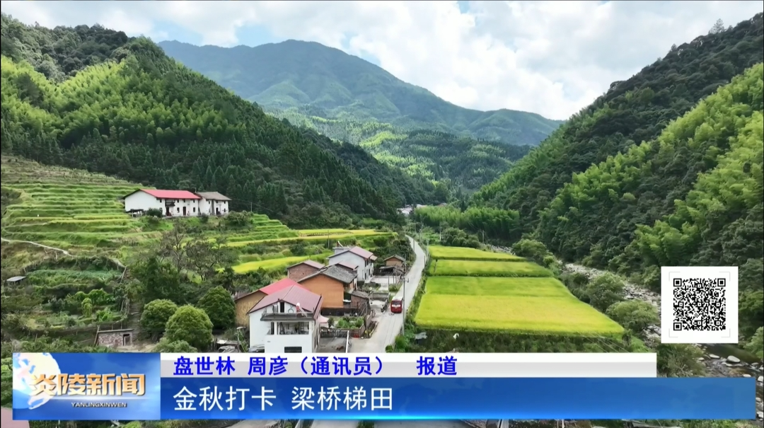 金秋打卡 梁桥梯田