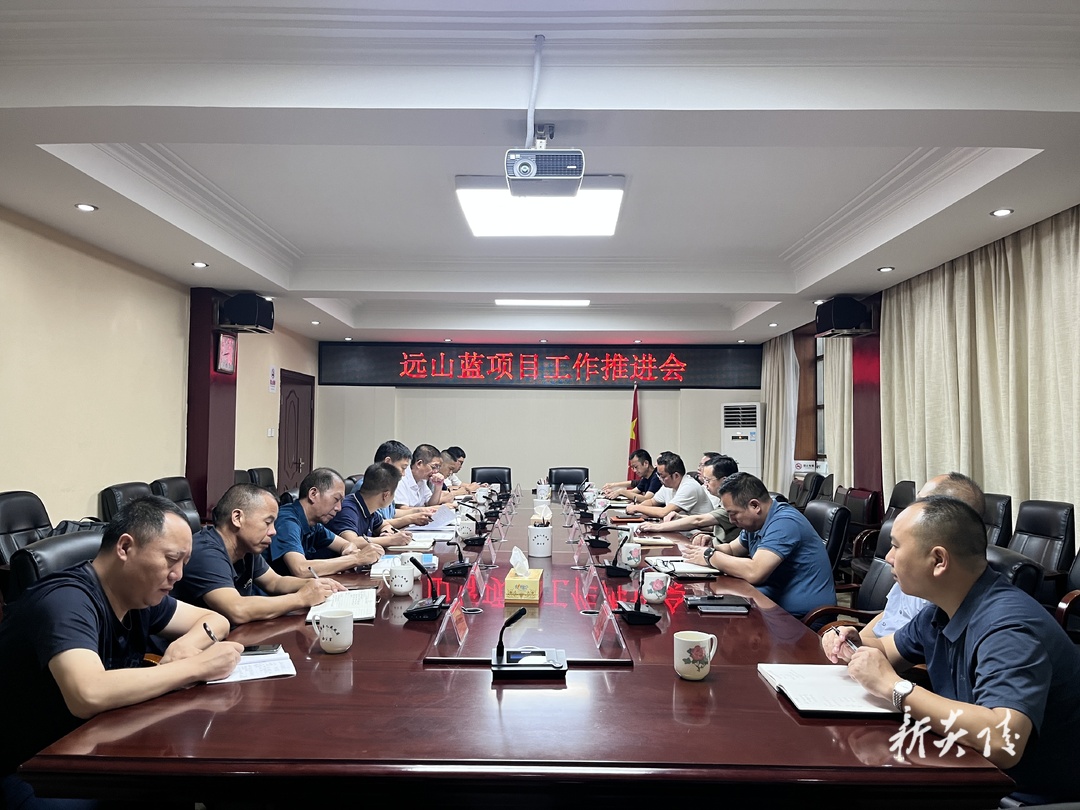 图文丨夏胜利主持召开远山蓝项目工作推进会
