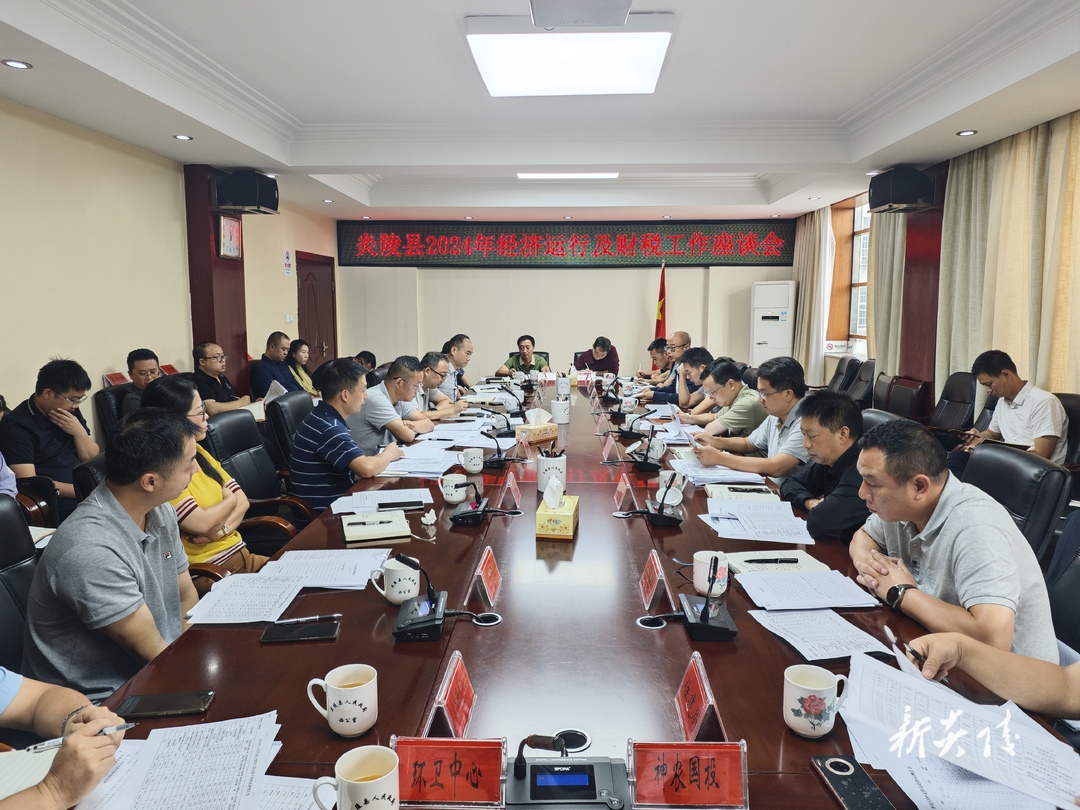 炎陵县经济运行及财税工作座谈会召开