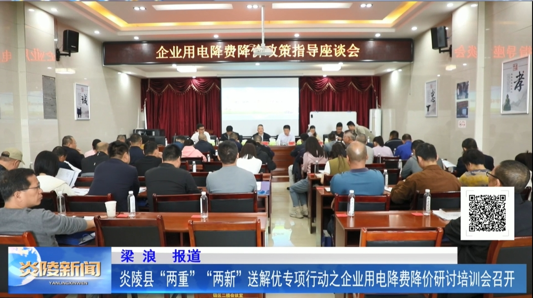 炎陵县“两重”“两新”送解优专项行动之企业用电降费降价研讨培训会召开