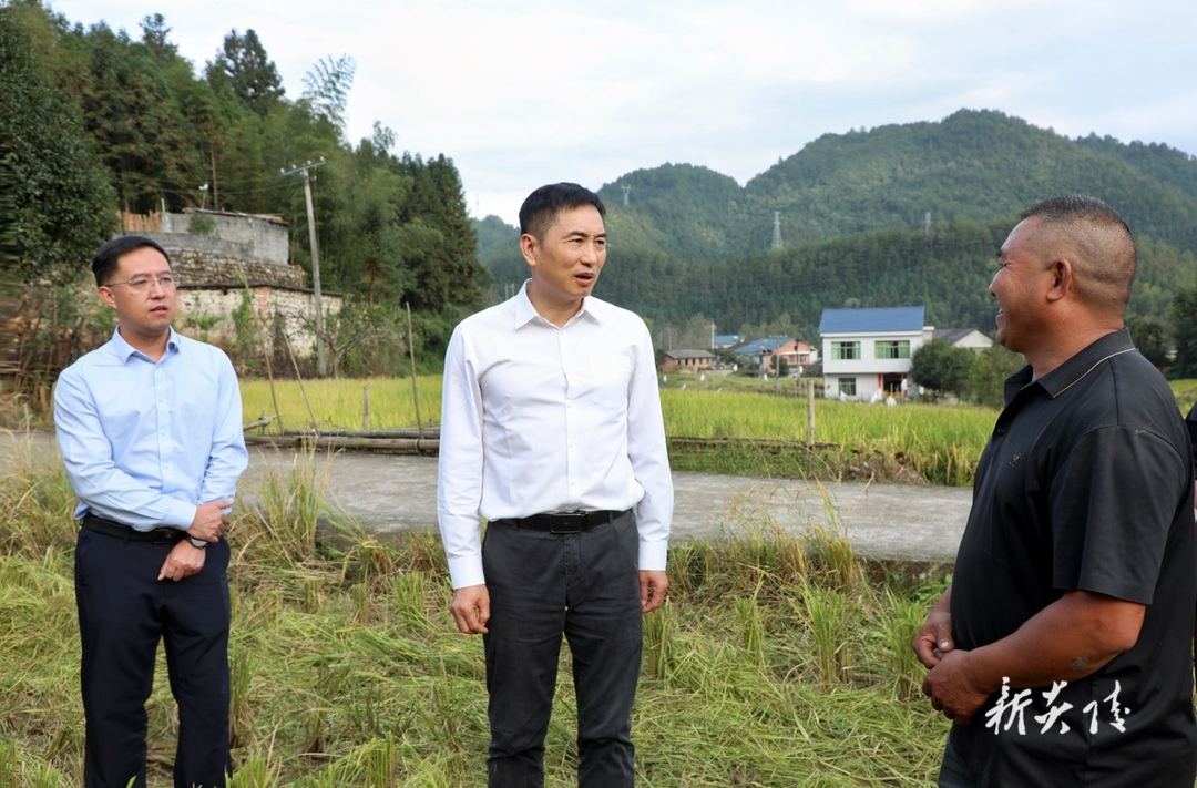尹朝晖到水口镇调研秋粮收储和粮食安全