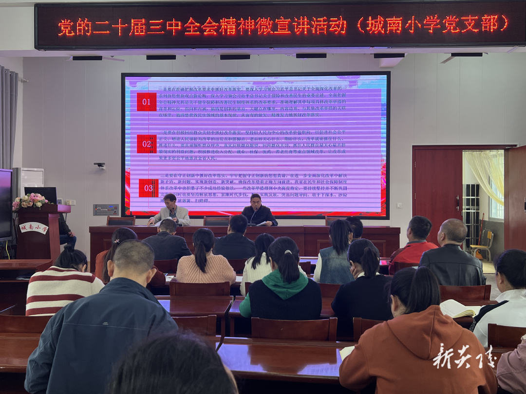 炎陵县城南小学开展党的二十届三中全会精神微宣讲活动