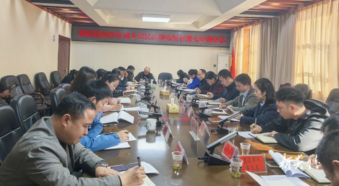 炎陵县开展2025年城乡居民医保参保征缴攻坚调度会