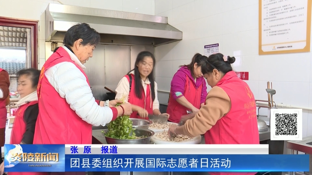 团县委组织开展国际志愿者日活动