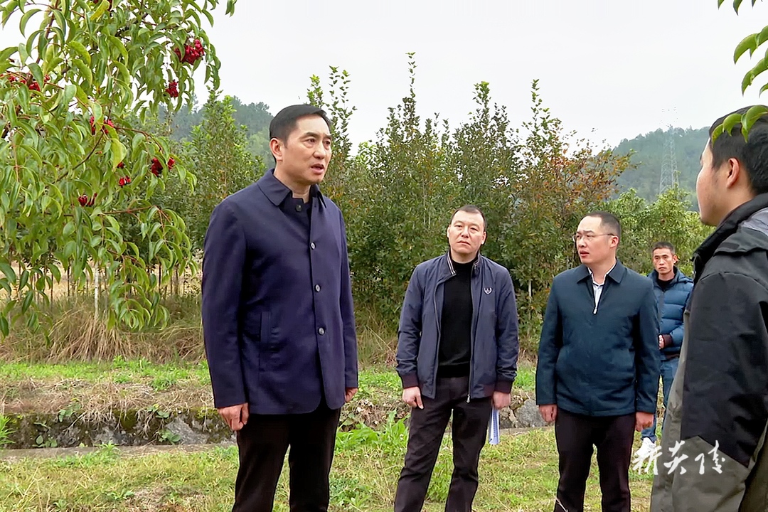 尹朝晖暗访督导耕地保护工作