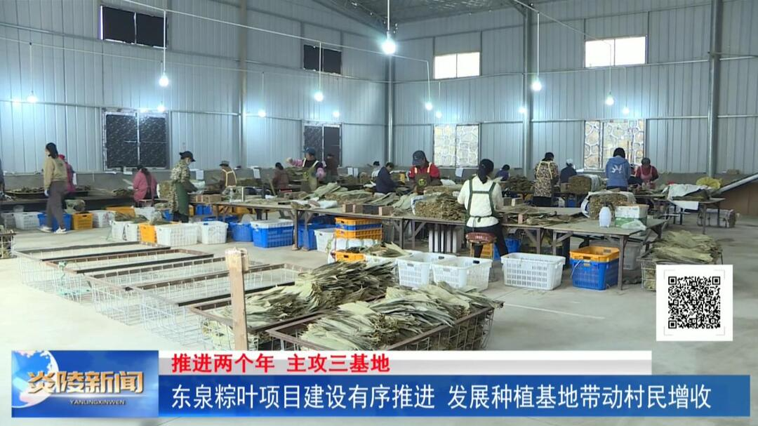 东泉粽叶项目建设有序推进 发展种植基地带动村民增收