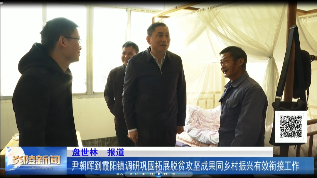 尹朝晖到霞阳镇调研巩固拓展脱贫攻坚成果同乡村振兴有效衔接工作