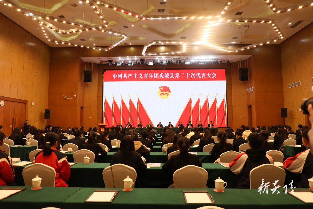 共青团炎陵县第二十次代表大会第一次全体会议召开