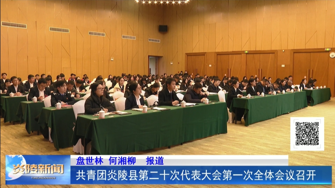 共青团炎陵县第二十次代表大会第一次全体会议召开