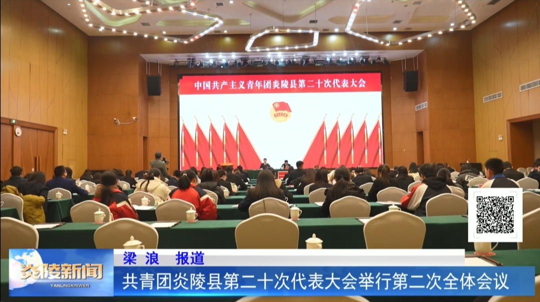 共青团炎陵县第二十次代表大会举行第二次全体会议