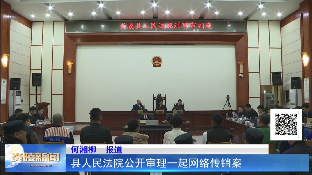 县人民法院公开审理一起网络传销案