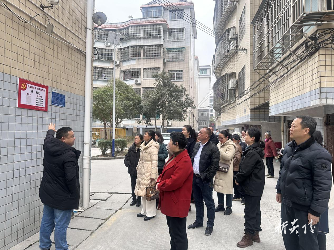 炎陵县霞阳镇：人大代表积极参与民生实事项目验收