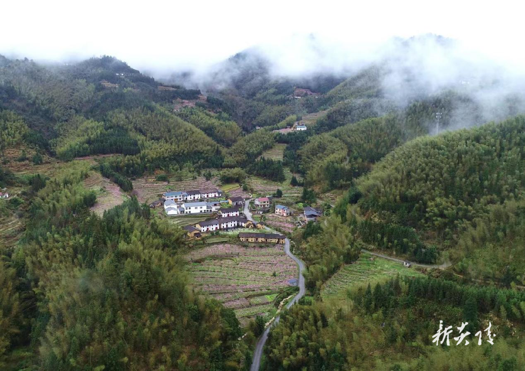 炎陵县策源乡梨树洲景区通过3A级旅游景区评定