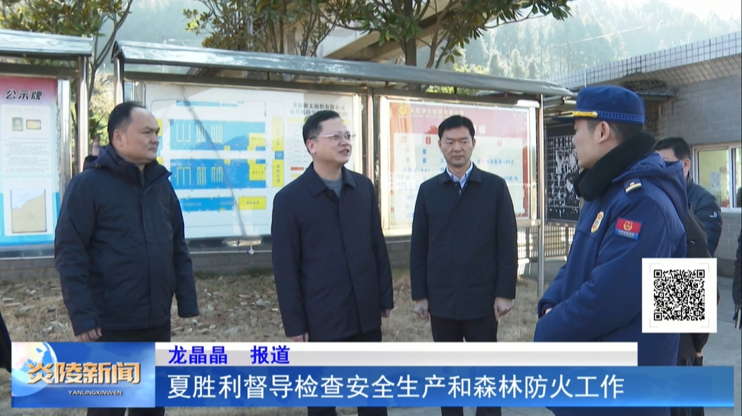 夏胜利督导检查安全生产和森林防火工作
