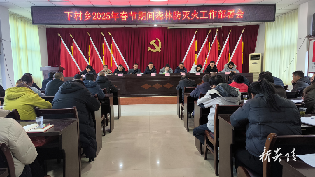 炎陵县下村乡召开2025年春节期间森林防灭火工作部署会