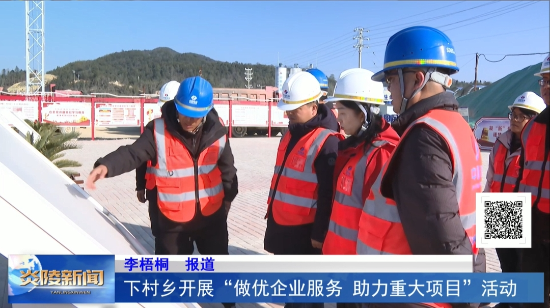 下村乡开展“做优企业服务 助力重大项目”活动