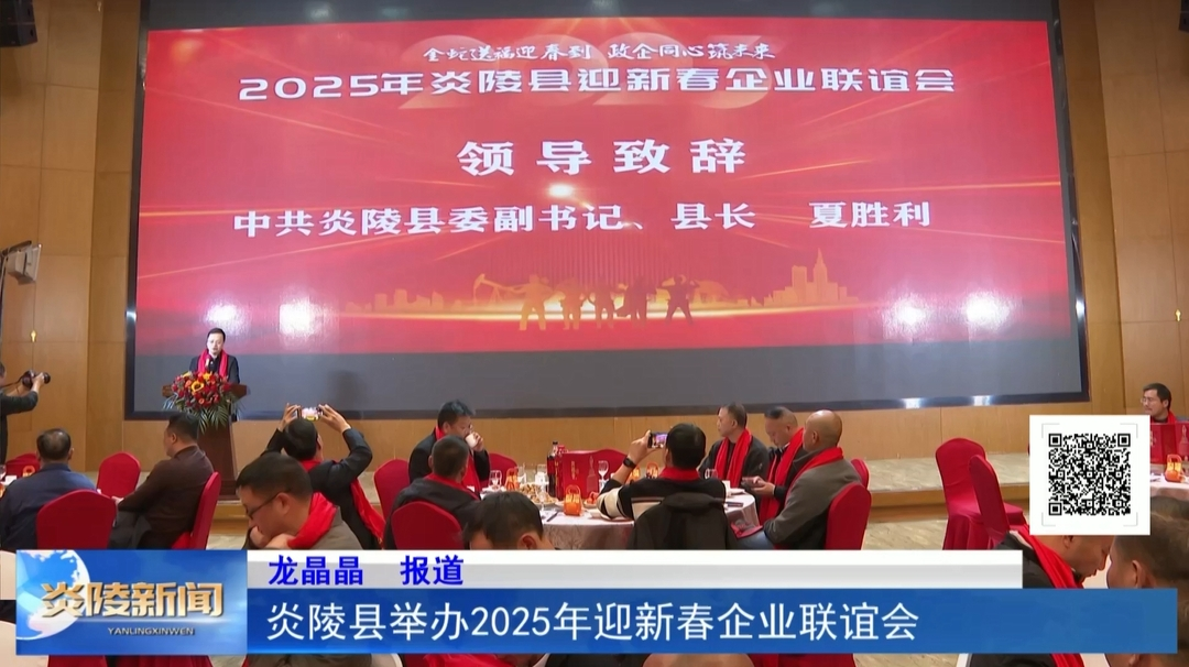 炎陵县举办2025年迎新春企业联谊会