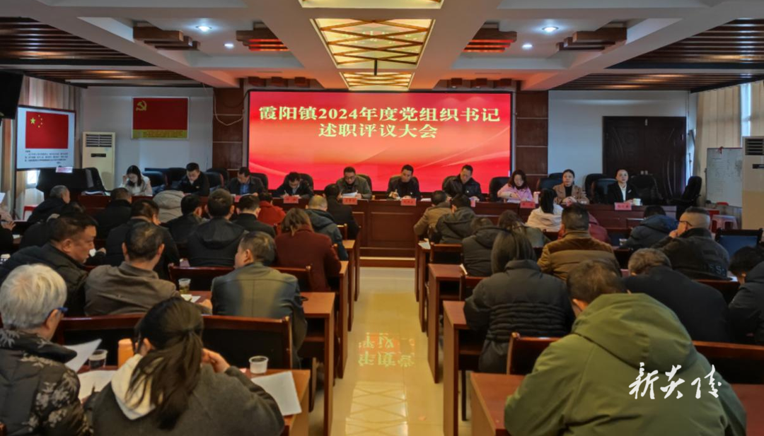炎陵县霞阳镇召开2024年度党组织书记述职评议会议
