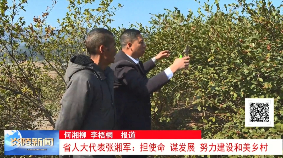 省人大代表张湘军：担使命 谋发展 努力建设和美乡村