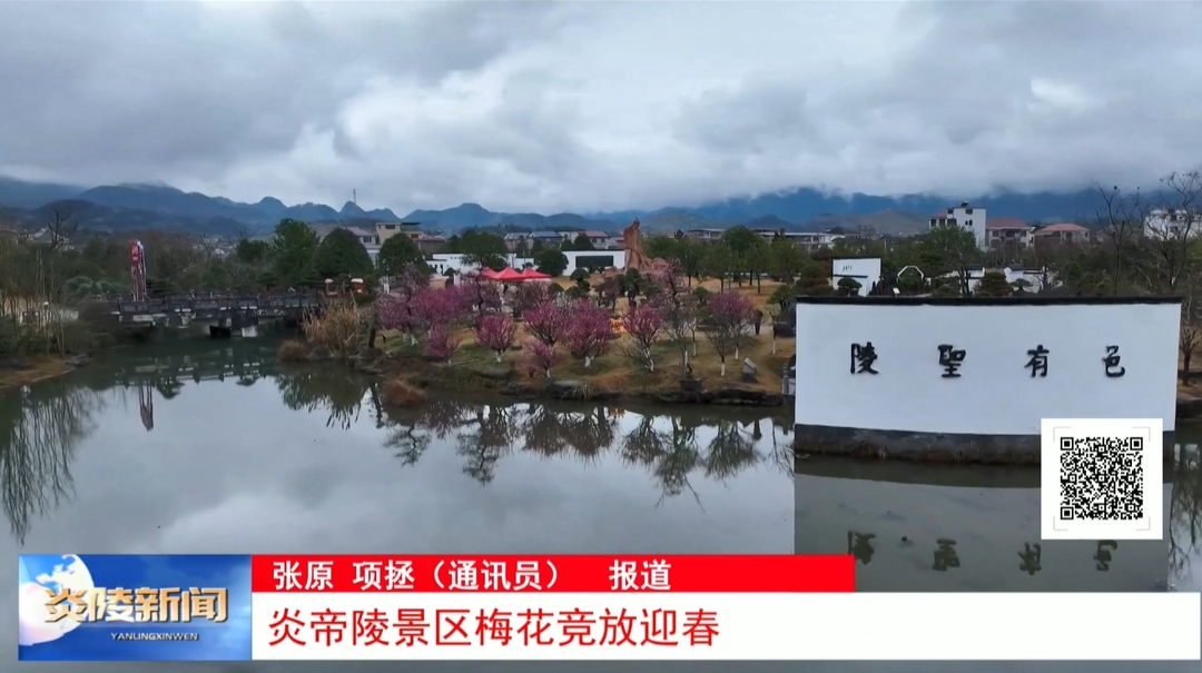 炎帝陵景区梅花竞放迎春