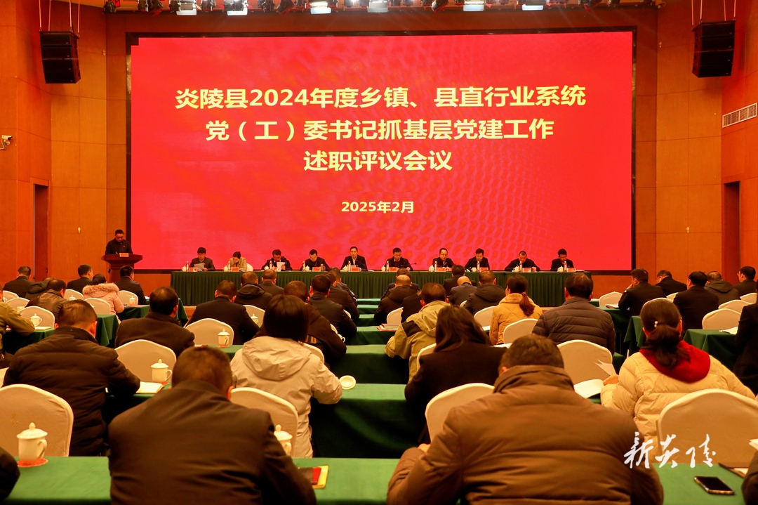 ​ 炎陵县2024年度乡镇、县直行业系统党（工）委书记抓基层党建工作述职评议会议召开
